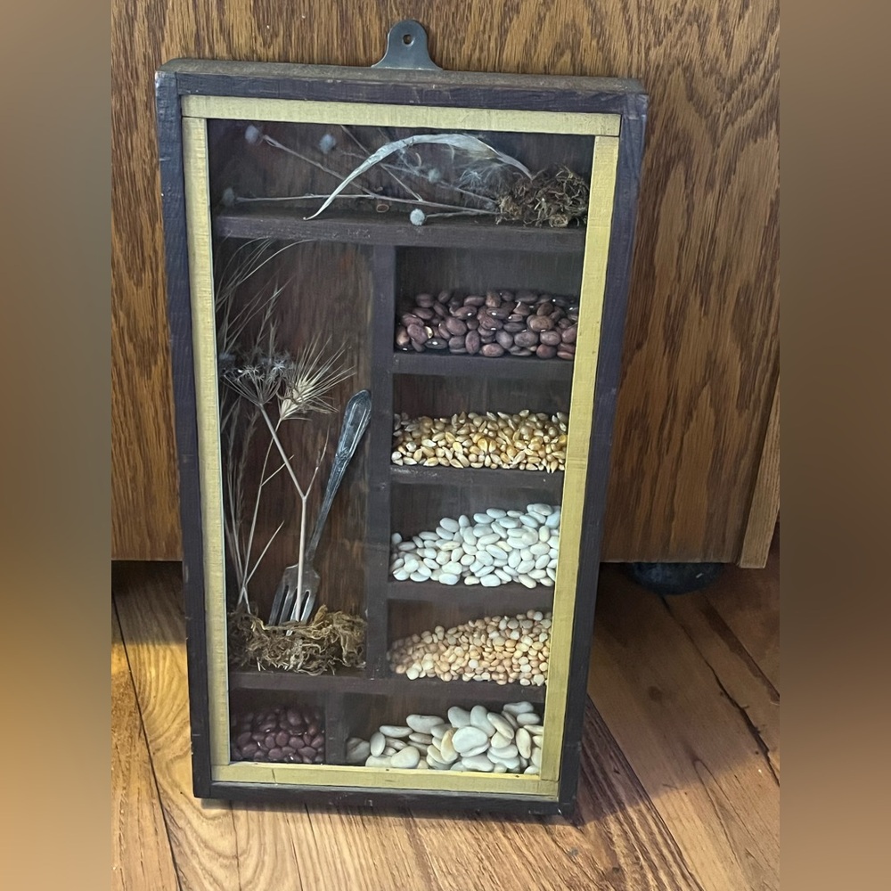 Country core vintage shadowbox art bean, nuts, plants kitchen decor